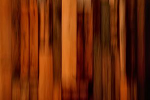 Wood panel