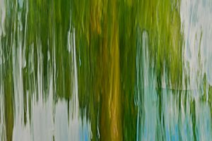 Willow tree in green and blue